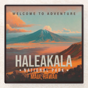 Haleakala National Park Maui Hawaii Vintage Glass Coaster