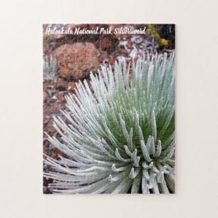 Haleakala National Park Silversword Jigsaw Puzzle