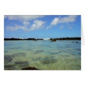 Haleiwa (Front Horizontal)