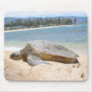Haleiwa Honu on Last Day Mouse Pad