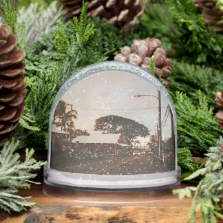 Haleiwa Surfer Town Snow Globe