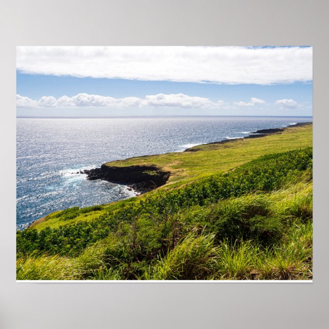 haleokane lookout and pacific ocean poster (Front)