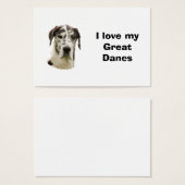 Halequin Great Dane pet photo (Front & Back)