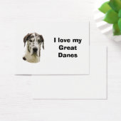 Halequin Great Dane pet photo (Desk)