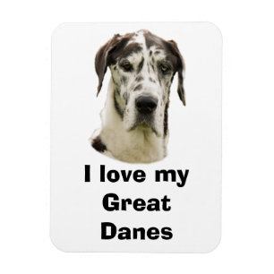 Halequin Great Dane pet photo Magnet