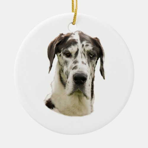 Halequin Great Dane portrait photo Ceramic Ornament