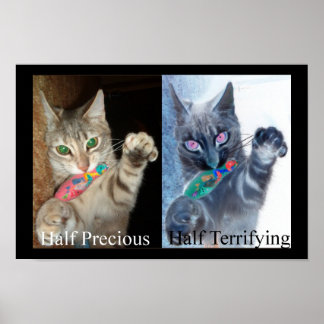 Half and Half  Poster