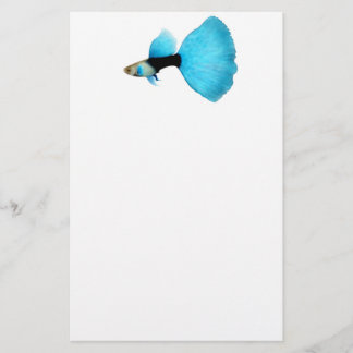 Half Black Blue Fancy Guppy Stationery