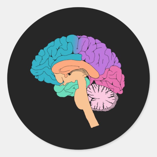 Half Brain Science Sticker (Front)