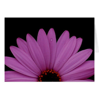 Half Daisy Cards