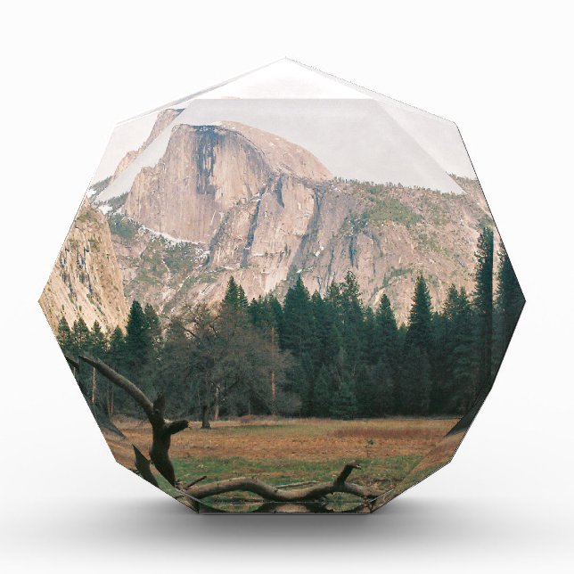 Half Dome Award (Front)
