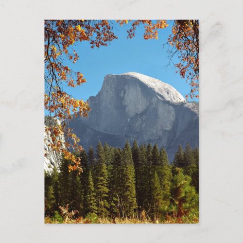 Half Dome in Autumn _ Yosemite National Park Postcard
