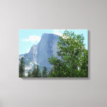 Half Dome in Summer from Yosemite National Park Canvas Print