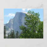 Half Dome in Summer from Yosemite National Park Postcard