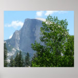 Half Dome in Summer from Yosemite National Park Poster