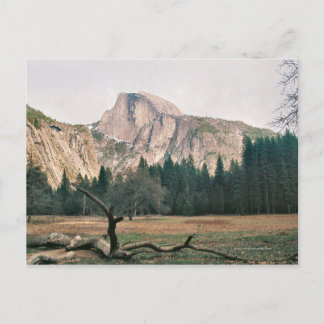 Half Dome Postcard