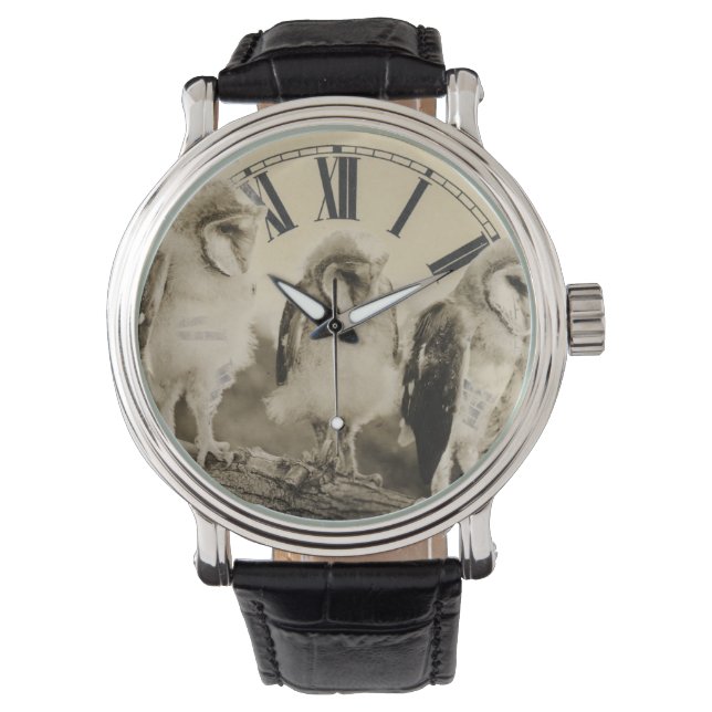 Half Grown Owls Watch (Front)