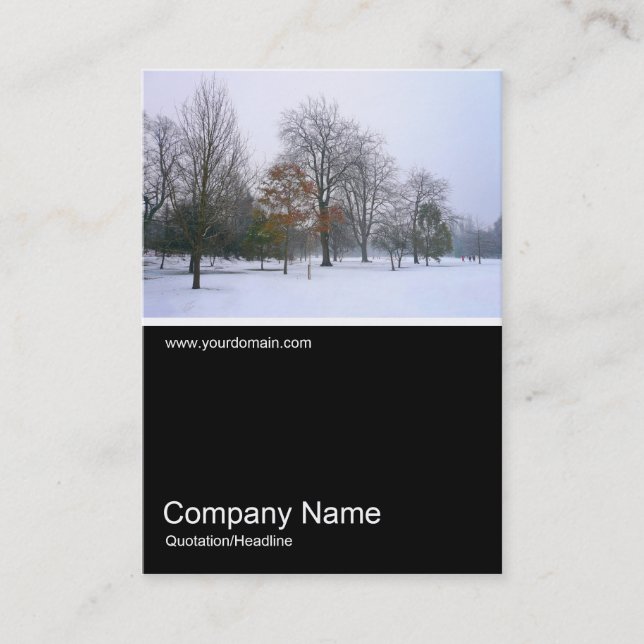 Half&Half Photo 0104 - Snow in the Park Business Card (Front)
