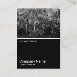 Half&Half Photo 0106 - Silver Birch Trees B&W Business Card