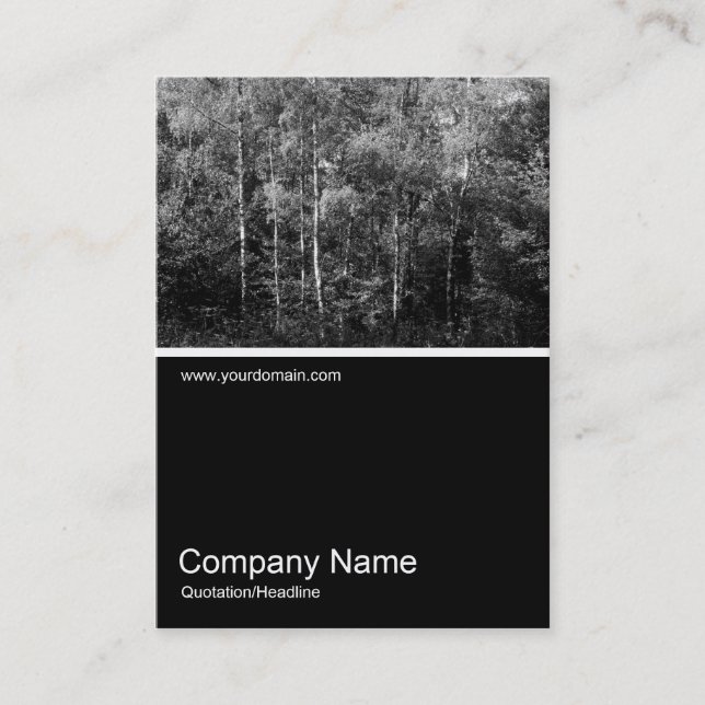 Half&Half Photo 0106 - Silver Birch Trees B&W Business Card (Front)