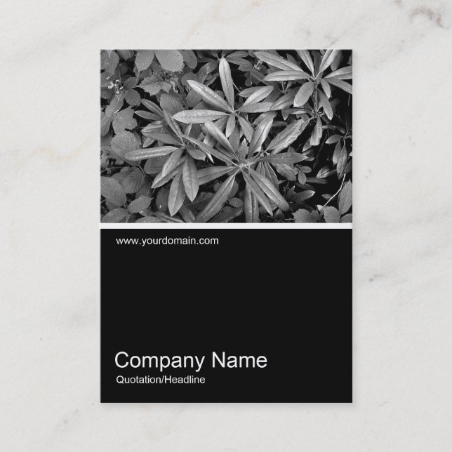 Half&Half Photo 0110 - Leaves Business Card (Front)