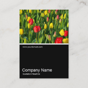 Half&Half Photo 0151 - Colorful Tulips II Business Card