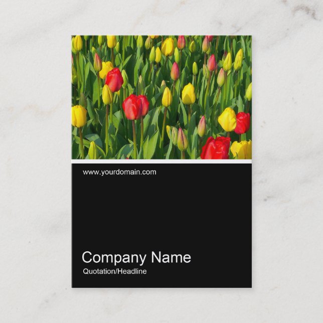 Half&Half Photo 0151 - Colorful Tulips II Business Card (Front)