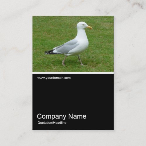 HalfHalf Photo 0156 _ Seagull walking in the Park Business Card