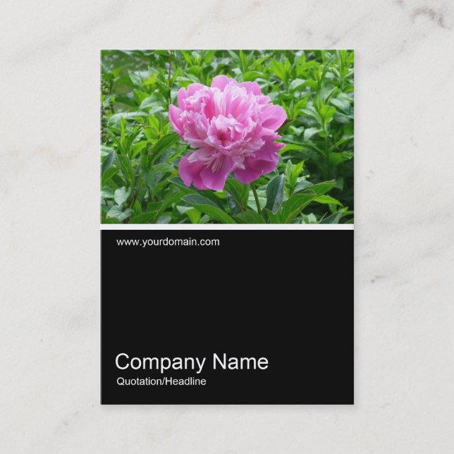 Half&Half Photo 0158 - Pink Peony Business Card (Front)