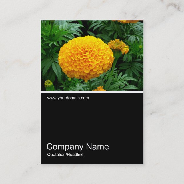 Half&Half Photo 0163 - Orange Chrysanthemum Business Card (Front)