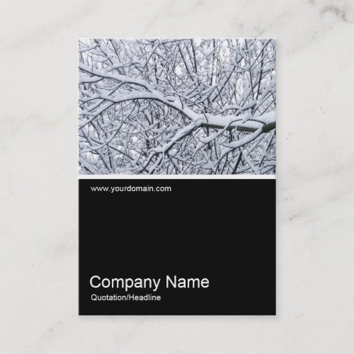 HalfHalf Photo 0195 _ Snowy Branches Business Card