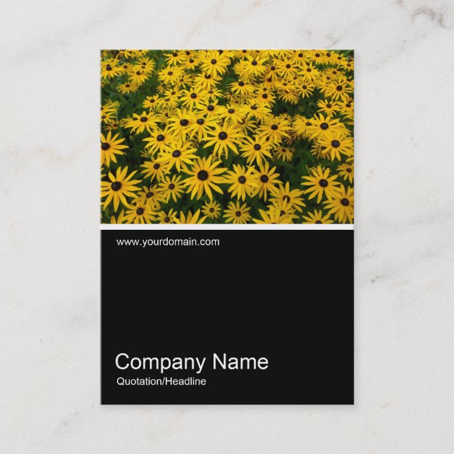 Half&Half Photo 0232 - Black-eyed Susans Business Card (Front)