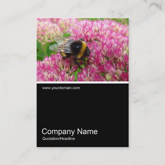 Half&Half Photo 0235 - Bumble Bee on Sedum Business Card (Front)