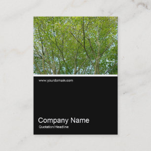 Half&Half Photo 0239 - Japanese Maple Business Card