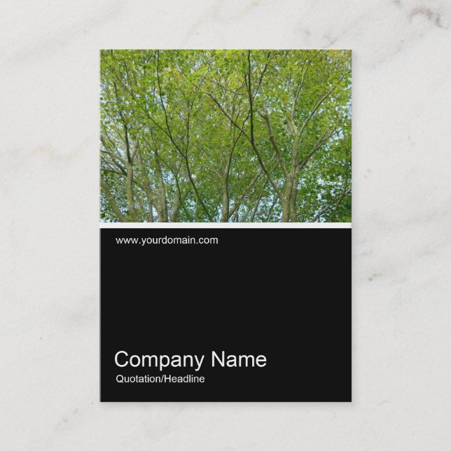 Half&Half Photo 0239 - Japanese Maple Business Card (Front)