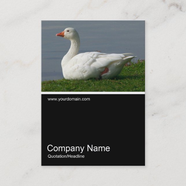 Half&Half Photo 0244 - White Goose Business Card (Front)