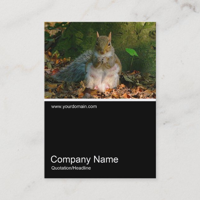 Half&Half Photo 0250 - Grey Squirrel Business Card (Front)