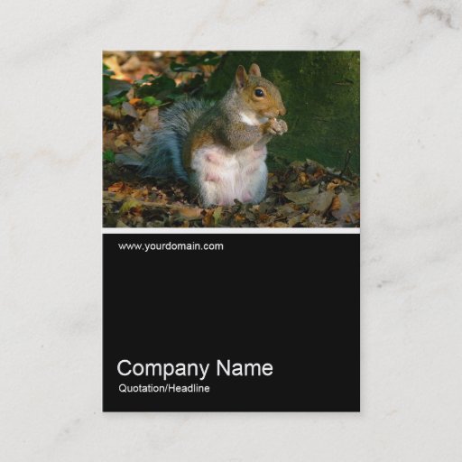 Customizable Half&amp;Half Photo 0251 - Grey Squirrel Business Card Template