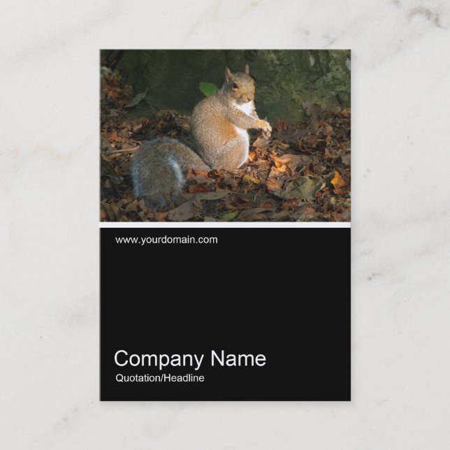 Half&Half Photo 0258 - Grey Squirrel Business Card (Front)