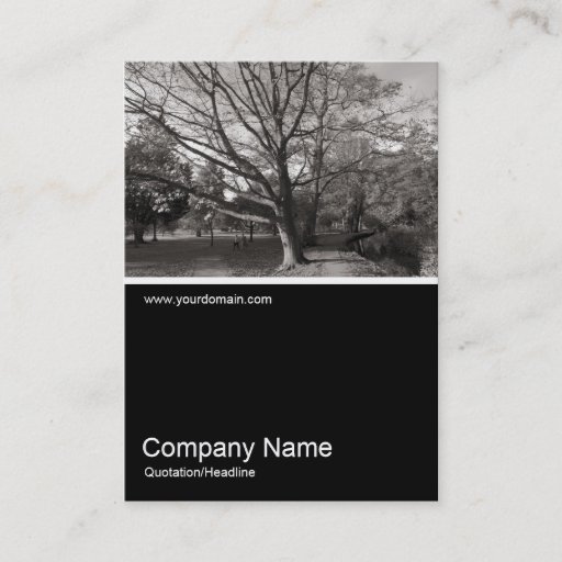 Customizable Half&amp;Half Photo 0266 - Autumn in the Park Business Card