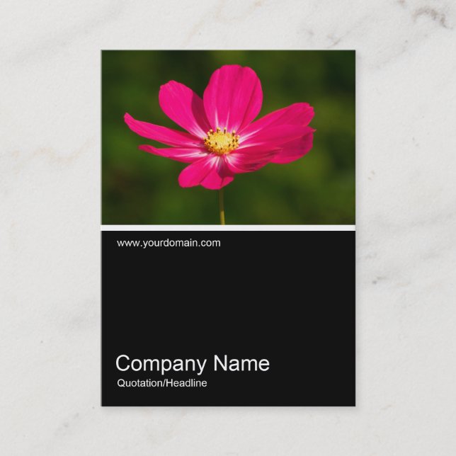 Half&Half Photo 0282 - Pink Cosmos Business Card (Front)