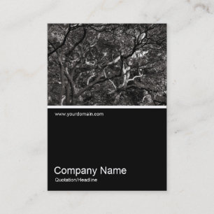 Half&Half Photo 0286 - Japanese Branches 01 Business Card