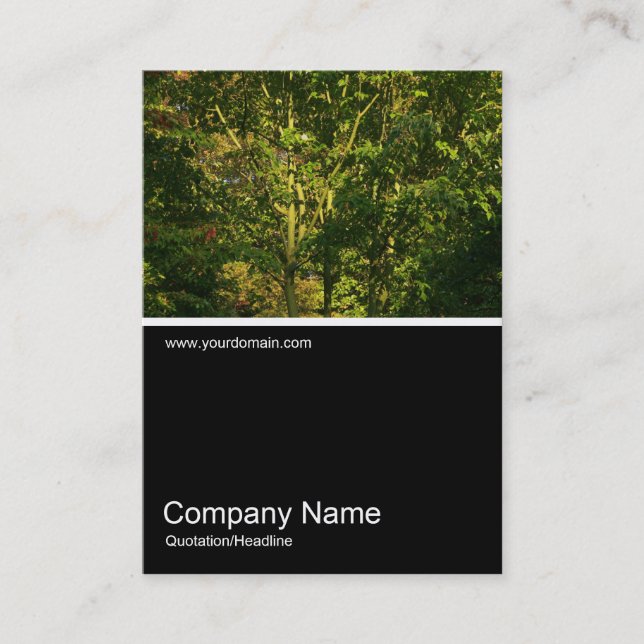 Half&Half Photo 0288 - Japanese Branches 05 Business Card (Front)