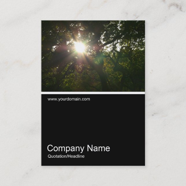 Half&Half Photo 0290 - Japanese Branches 07 Business Card (Front)