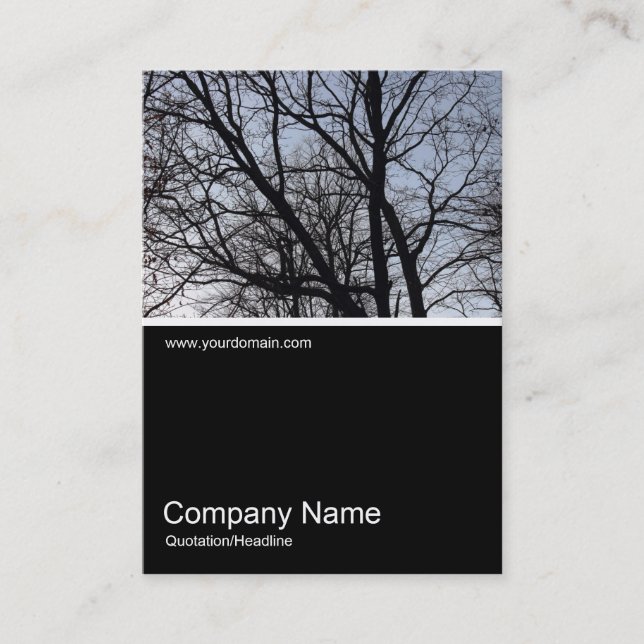 Half&Half Photo 0296 - Silhouetted Branches Business Card (Front)