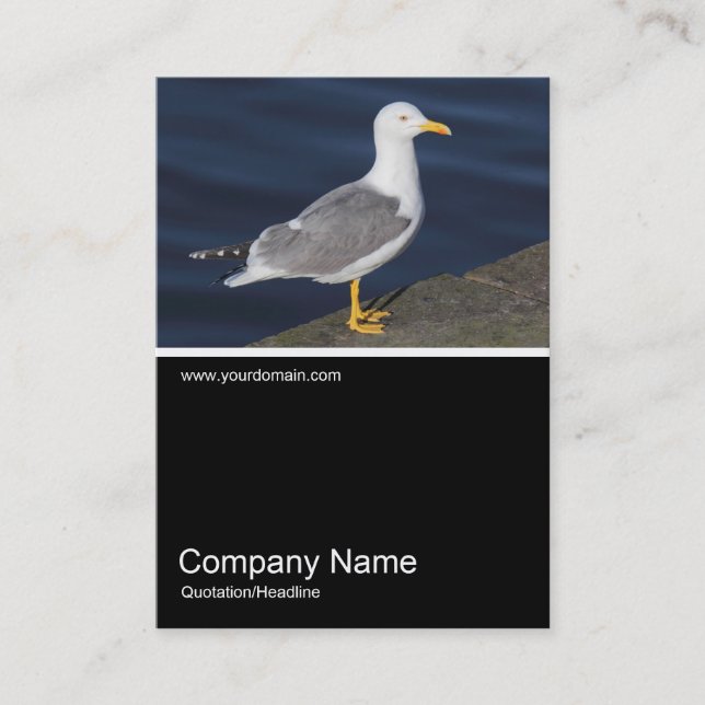 Half&Half Photo 0308 - Yellow-Legged Gull Business Card (Front)