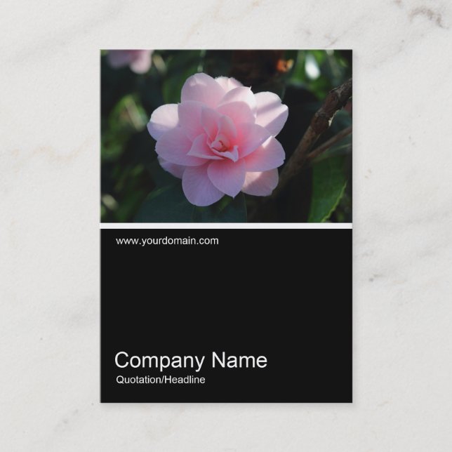 Half&Half Photo 0311 - Pink Camellia Business Card (Front)