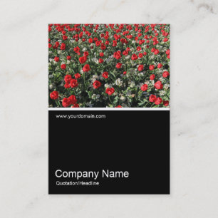 Half&Half Photo 0316 - Red Tulips and Primroses Business Card