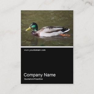 Half&Half Photo 0318 - Mallard Duck Business Card