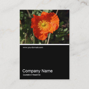 Half&Half Photo 0325 - Welsh Poppy (Orange) Business Card